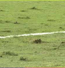 Gramado do Estádio Queensland Country Bank, em Townsville, onde Brasil e Austrália se enfrentam nesta sexta-feira, 25 Foto: Reprodução/GETV