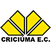 Imagem da matéria: Ídolo do Colo-Colo não poupa críticas a Pulgar por recusar seleção chilena