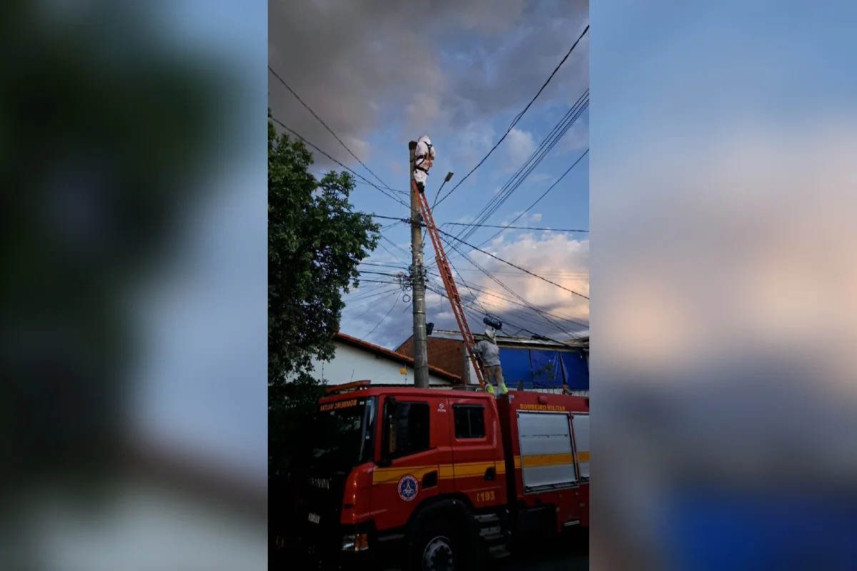 Irmãos de 65 e 76 anos são atacados por abelhas em Montes Claros