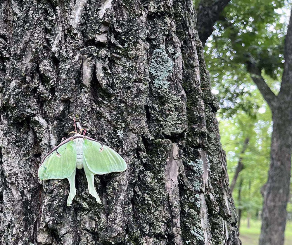 Imagem relacionada à notícia: Acertando um equilíbrio entre natureza e recreação