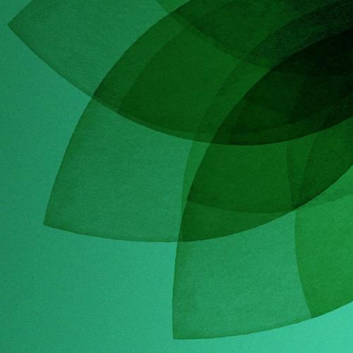 Insetos desempenham um papel crítico nos ecossistemas além de simplesmente fornecerem alimento, conforme mostra uma nova pesquisa.