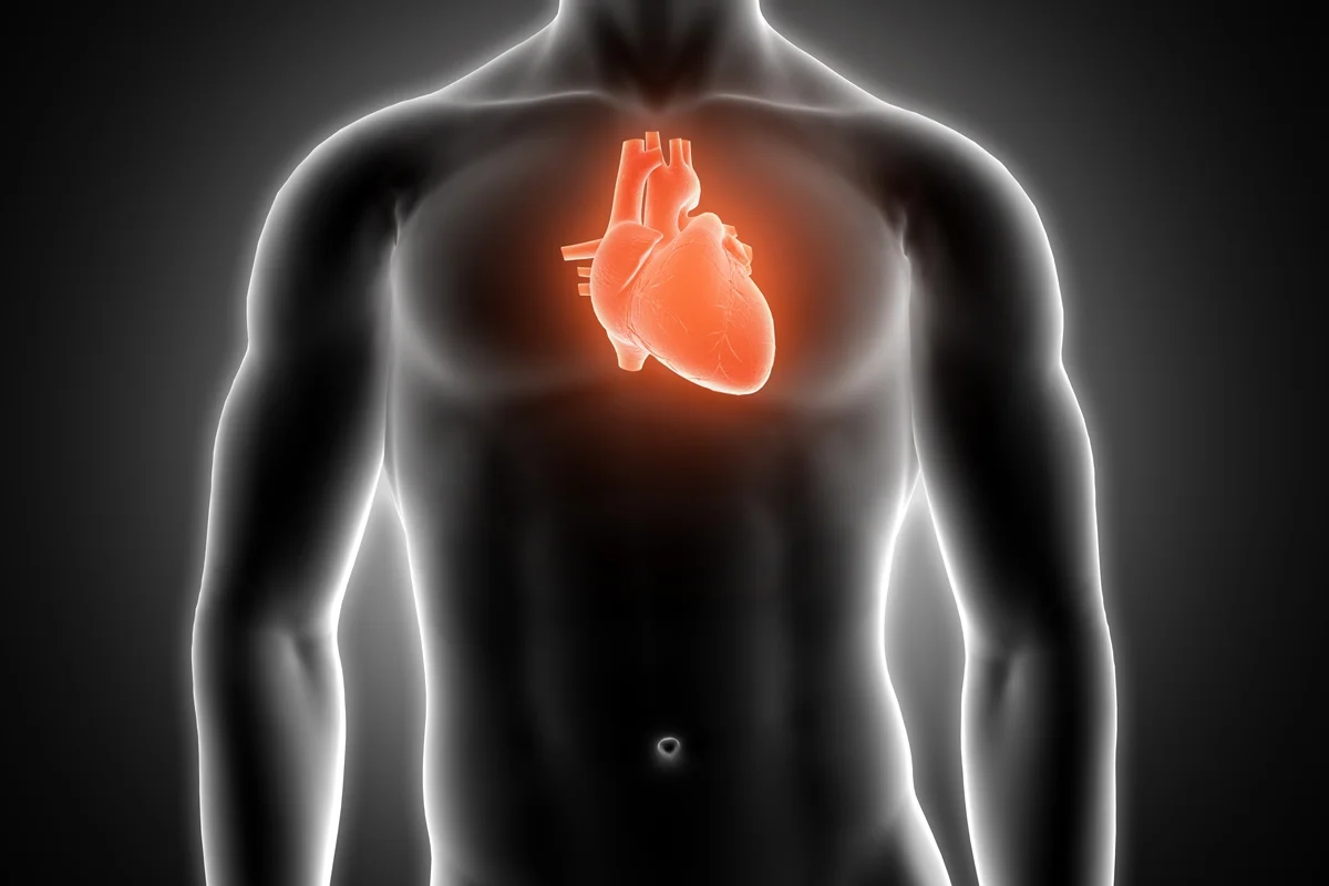 Ilustração em preto e branco com ênfase de cor vermelha ao coração - Metrópole.s