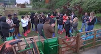 Imperdível! Márcia Fu recebe Christina Rocha no Fuzenda; veja os destaques de A Fazenda