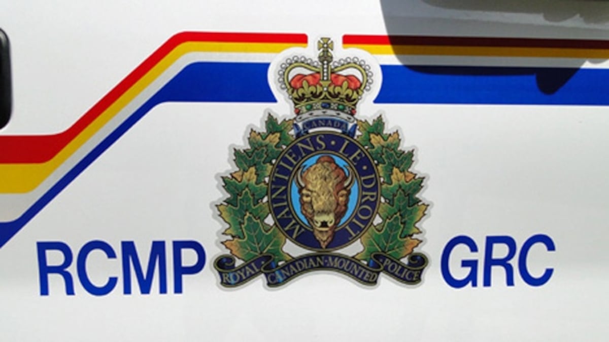 Sask. senior killed in vehicle-pedestrian collision, RCMP report 72 fatal crashes in 2026