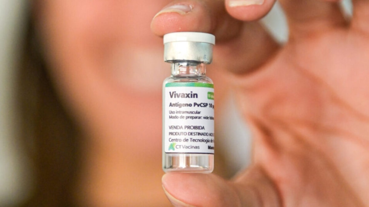 Anvisa autoriza testes em humanos de vacina brasileira contra tipo mais comum de malária