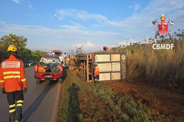 Caminhão com 48 bovinos tomba na DF-250 e motorista fica ferido - destaque galeria