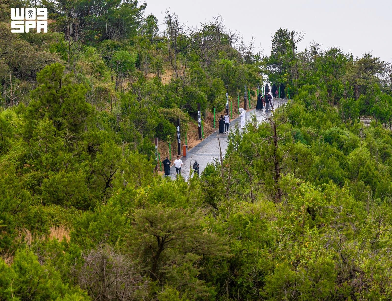 Al-Baha Green Initiative wins GCC award for environmental sustainability