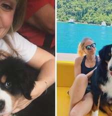 Angélica se emociona com a morte de cachorro da família: ‘Nosso grandão vai fazer muita falta’ Foto: Reprodução/Instagram