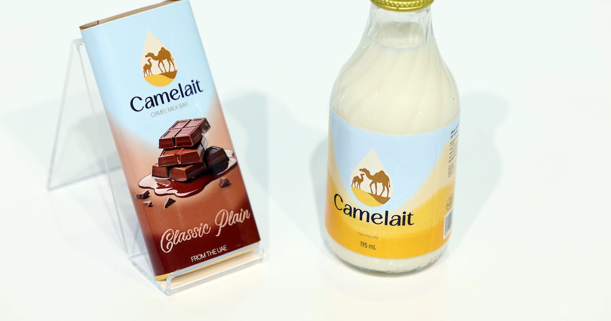 A Al Ain Farms leva o leite de camelo para o mercado global e transforma o produto dos EAU em um novo superalimento.