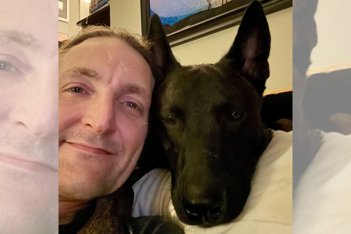 Tutor processa cidade nos EUA para evitar eutanásia de cão de serviço