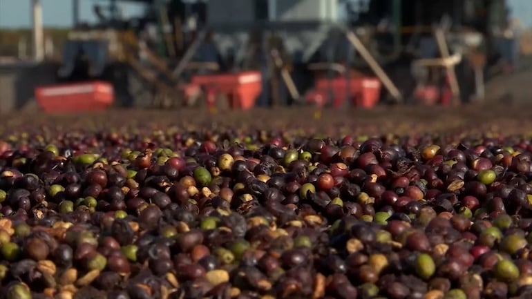 ‘Quem controla o dado controla o preço’, diz professor ao defender regulamentação das informações geradas no campo