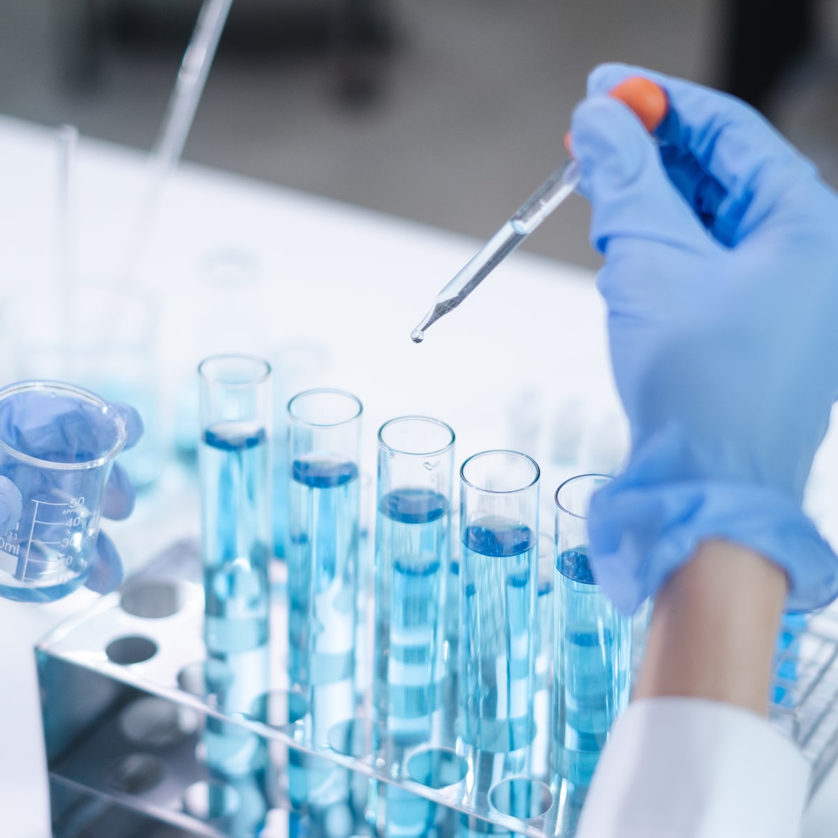 Pesquisadora de laboratório na Rússia morre após suspeita de infecção por peste