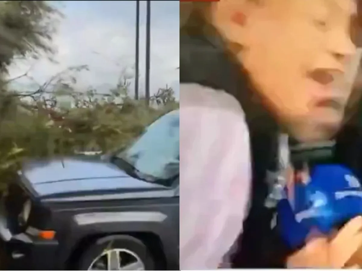 Repórter atropelada ao vivo atualiza estado de saúde: “Um milagre”